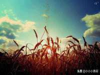 濮阳市鑫众博电子科技有限公司