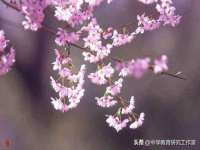 濮阳市鑫众博电子科技有限公司