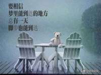 濮阳市鑫众博电子科技有限公司