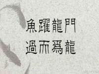 濮阳市鑫众博电子科技有限公司
