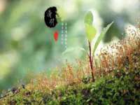 濮阳市鑫众博电子科技有限公司
