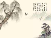 濮阳市鑫众博电子科技有限公司