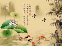 濮阳市鑫众博电子科技有限公司