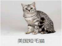 濮阳市鑫众博电子科技有限公司