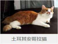 濮阳市鑫众博电子科技有限公司