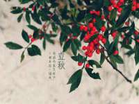 濮阳市鑫众博电子科技有限公司