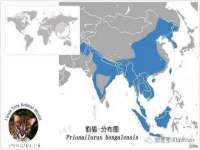 濮阳市鑫众博电子科技有限公司