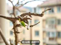 濮阳市鑫众博电子科技有限公司
