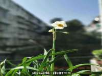 濮阳市鑫众博电子科技有限公司