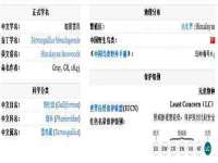 濮阳市鑫众博电子科技有限公司