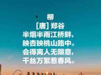 濮阳市鑫众博电子科技有限公司