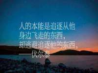 濮阳市鑫众博电子科技有限公司