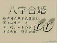 濮阳市鑫众博电子科技有限公司