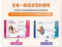 濮阳市鑫众博电子科技有限公司