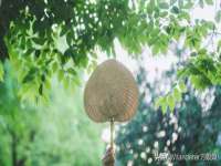 濮阳市鑫众博电子科技有限公司