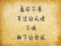 濮阳市鑫众博电子科技有限公司