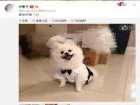 濮阳市鑫众博电子科技有限公司