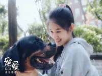 濮阳市鑫众博电子科技有限公司