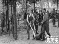 濮阳市鑫众博电子科技有限公司
