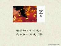 濮阳市鑫众博电子科技有限公司