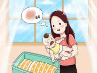 濮阳市鑫众博电子科技有限公司