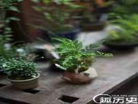 濮阳市鑫众博电子科技有限公司