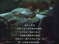 濮阳市鑫众博电子科技有限公司