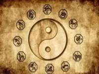 濮阳市鑫众博电子科技有限公司