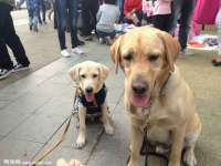濮阳市鑫众博电子科技有限公司