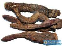 濮阳市鑫众博电子科技有限公司