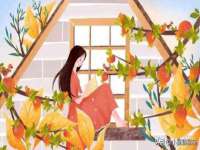 濮阳市鑫众博电子科技有限公司