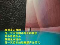 濮阳市鑫众博电子科技有限公司