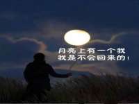 濮阳市鑫众博电子科技有限公司