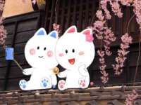濮阳市鑫众博电子科技有限公司