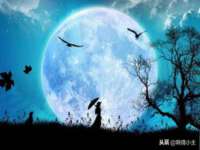 濮阳市鑫众博电子科技有限公司