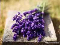 濮阳市鑫众博电子科技有限公司