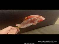 濮阳市鑫众博电子科技有限公司